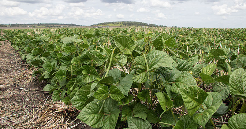 Article 3 Image